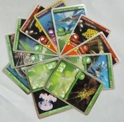 In name card sản phẩm - Công Ty Cổ Phần Bao Bì Xuất Khẩu Tân Đại Minh